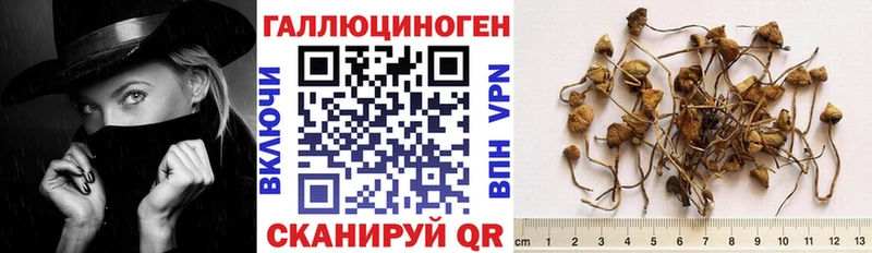 Галлюциногенные грибы Psilocybine cubensis Лукоянов